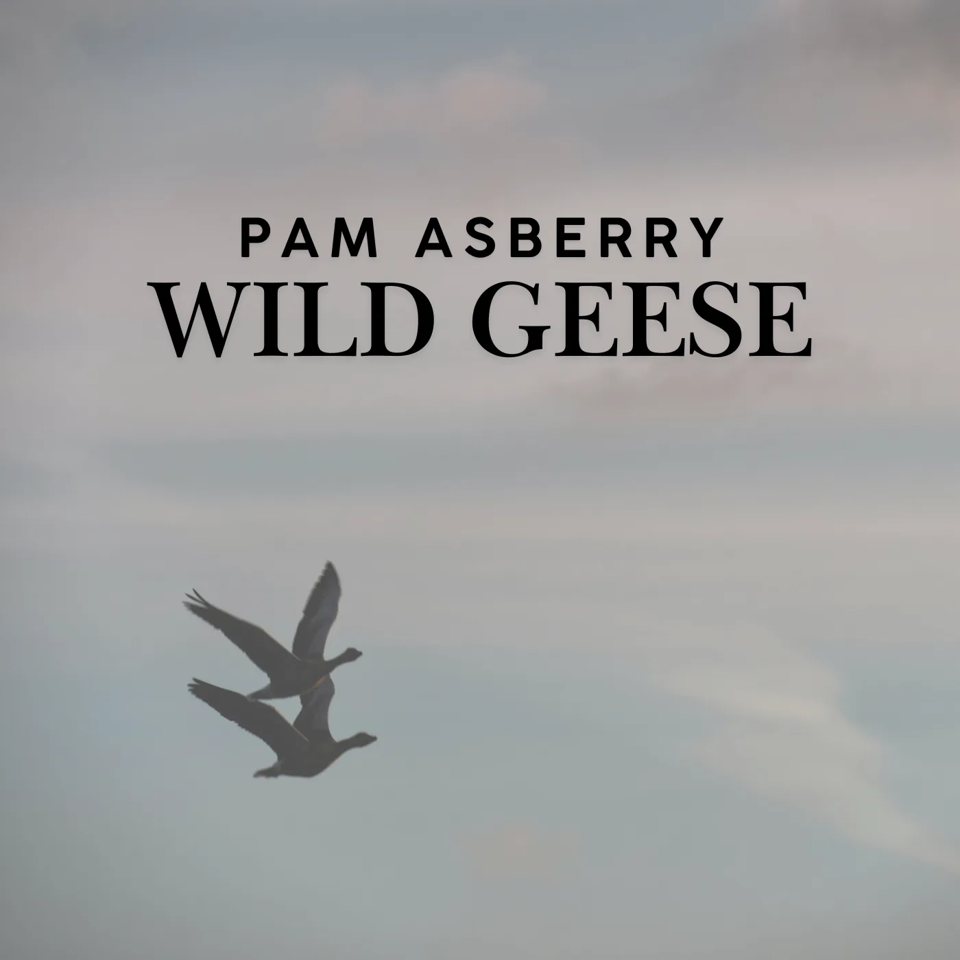Wild Geese – Downloadable Sheet Music cover